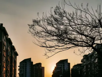 Casino Craze Play Farsímaforrit